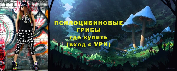 крисы Бугульма