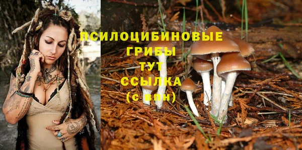 mdma Бронницы